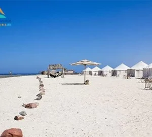 Abu Dabbab: Snorkeling Tour