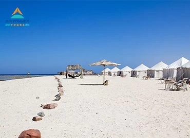 Abu Dabbab: Snorkeling Tour