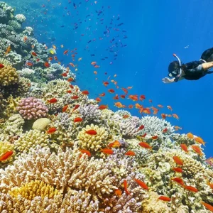 Diving Tour In Hurghada