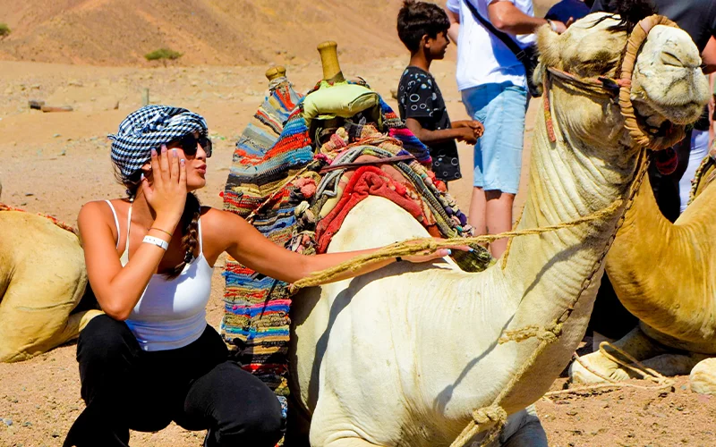 Sharm El Sheikh Mega Safari: Camel & Quad Rides, Parachute, Banana & Glass Boats - Image 6