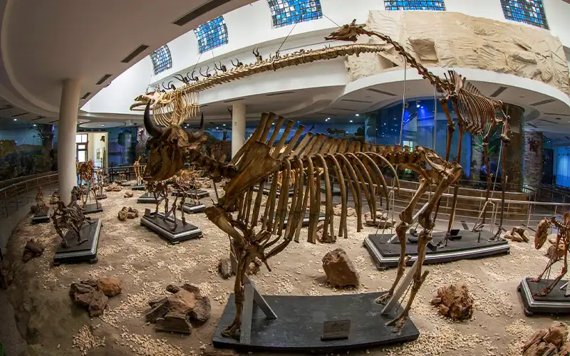 Day Tour: Giza Zoo & Orman Botanical Garden - Image 10