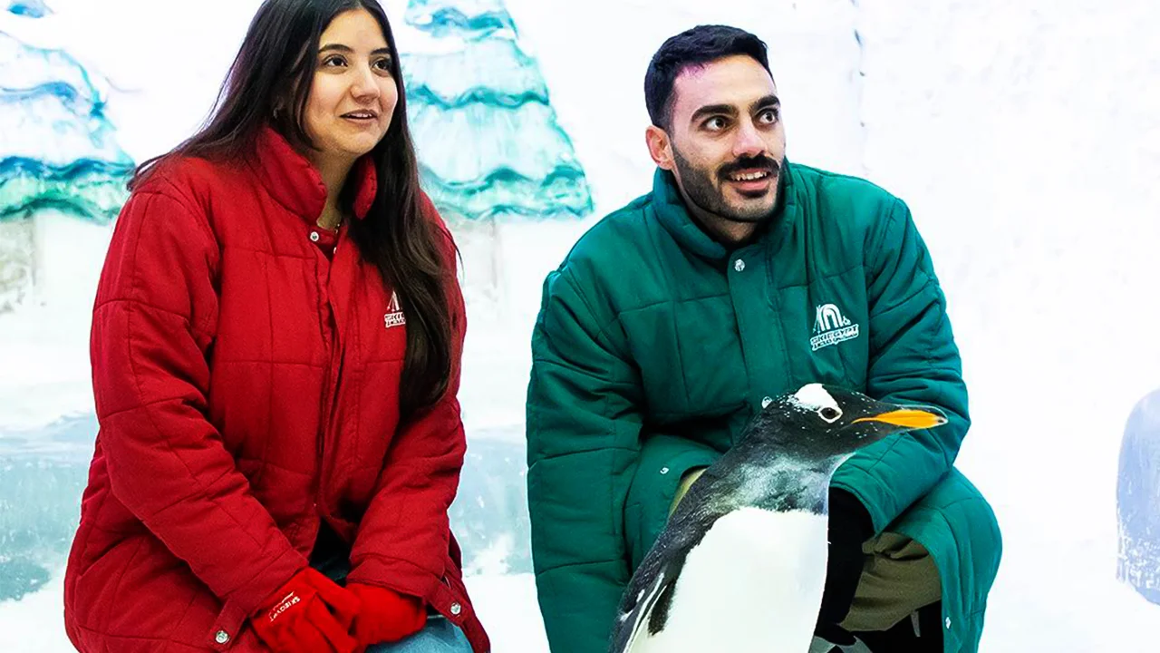 Pyramids to Penguins: Sand and Snow Adventure in Cairo - Image 6