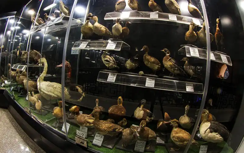 Day Tour: Giza Zoo & Orman Botanical Garden - Image 5