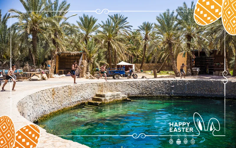 5-Day Private Tour: Easter Holiday Escape to Siwa’s Warmth & Oases - Image 2