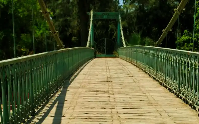 Day Tour: Giza Zoo & Orman Botanical Garden - Image 8