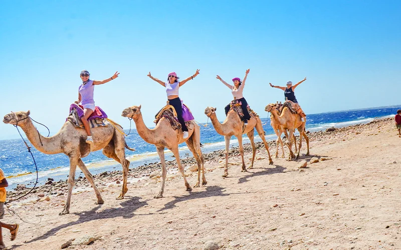 Sharm El Sheikh Mega Safari: Camel & Quad Rides, Parachute, Banana & Glass Boats