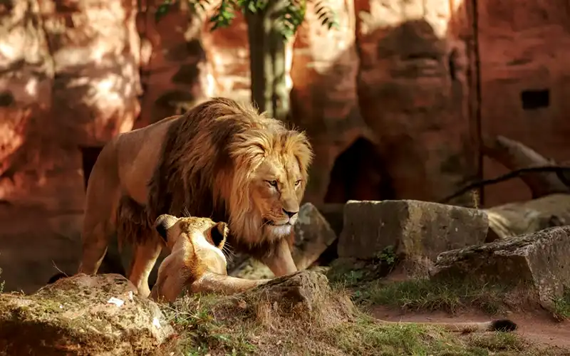 Day Tour: Giza Zoo & Orman Botanical Garden - Image 7