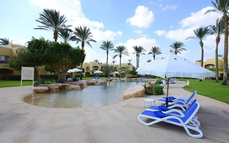 Day Trip At The Red Sea At Stella Di Mare - Image 4