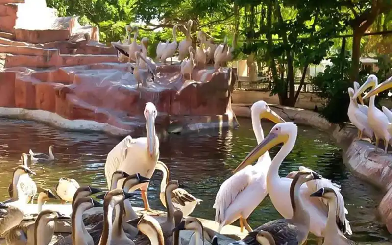 Day Tour: Giza Zoo & Orman Botanical Garden