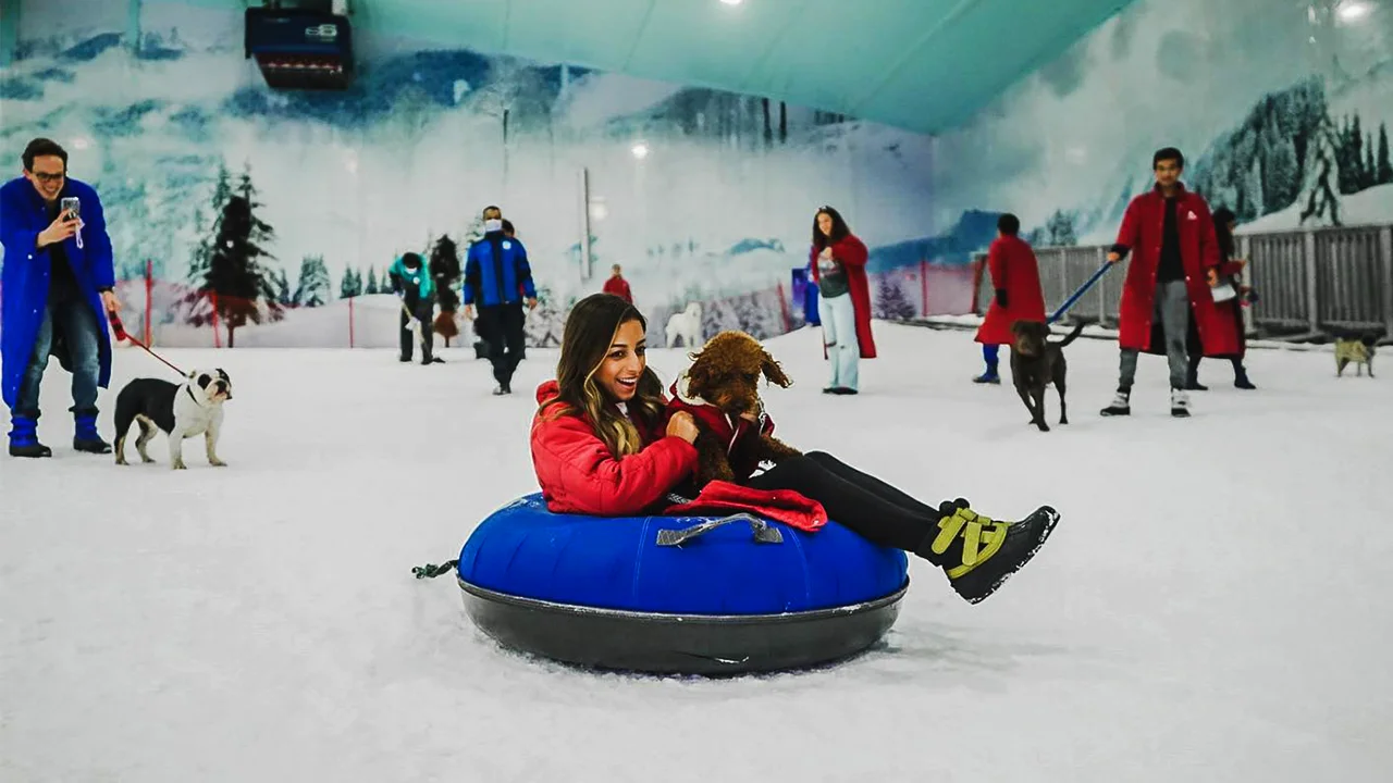 Pyramids to Penguins: Sand and Snow Adventure in Cairo - Image 7