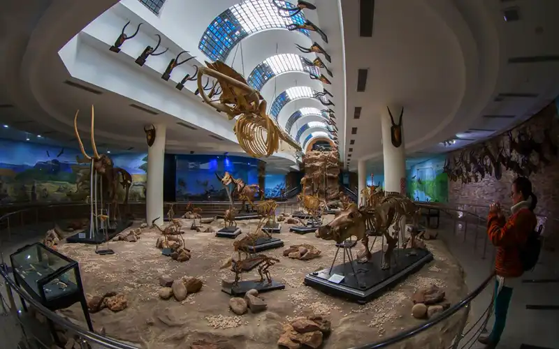 Day Tour: Giza Zoo & Orman Botanical Garden - Image 9