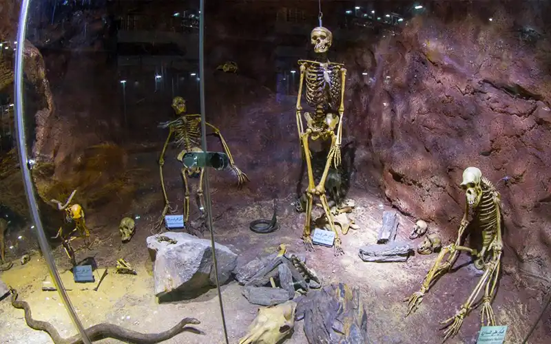 Day Tour: Giza Zoo & Orman Botanical Garden - Image 6