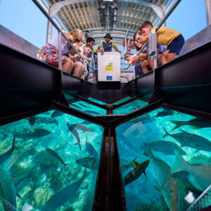 Glass Bottom Boat Cruise And Coral Reef Viewing