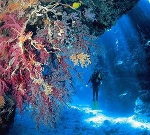 15 Days Magical Honeymoon Vacation