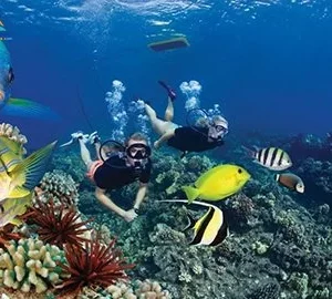Snorkeling Trip At Hamata Islands From Marsa Alam