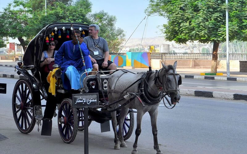 Luxor City Tour By Horse Carriage From West Bank - Image 2