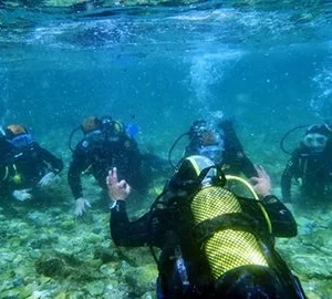 Diving Trip In El Fanara Beach