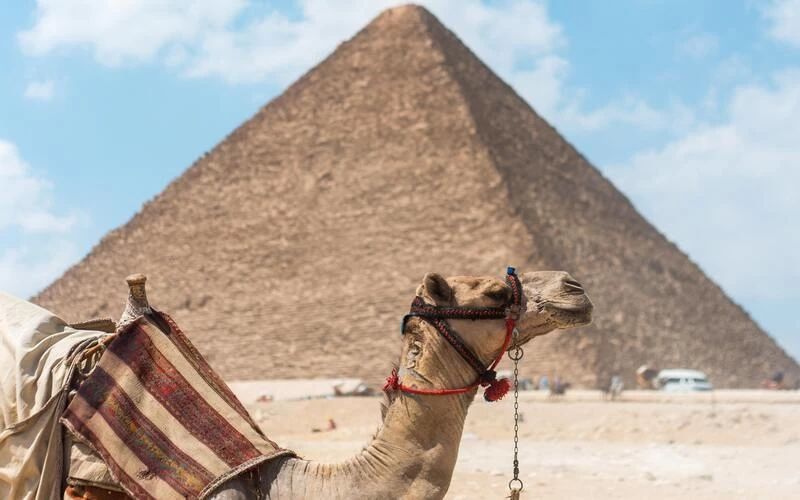 Cairo And Luxor In Two Days From Hurghada - Image 8