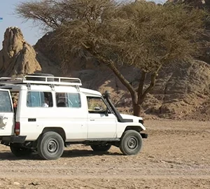 Africano Park Alexandria Safari From Cairo