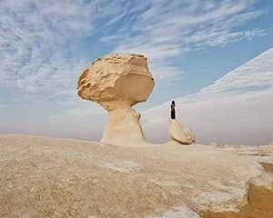 2-Day White Desert, Bahariya Oasis & Fayoum Adventure from Cairo