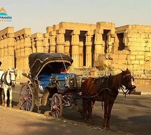 Luxor City Tour By Horse Carriage From West Bank