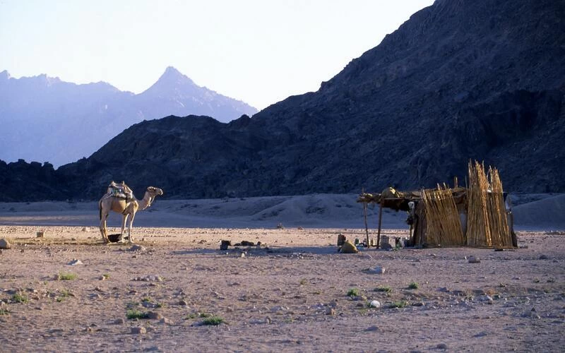 Sharm El Sheikh Bedouin Safari And Star Gazing Tour - Image 4