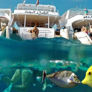 Honeymoon Package For 12 Days Across Immortal Wonders