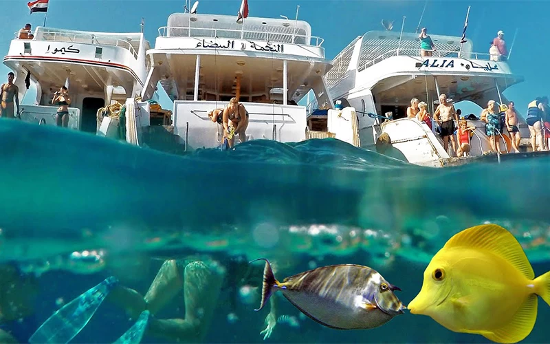 Honeymoon Package For 12 Days Across Immortal Wonders