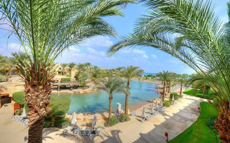 Day Trip At The Red Sea At Stella Di Mare - Image 2