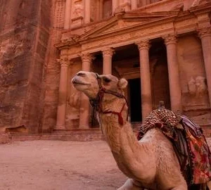 Petra Tour From Taba By Ferry Boat