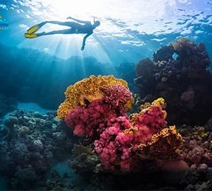 Sharm El Luli: Snorkeling Tour