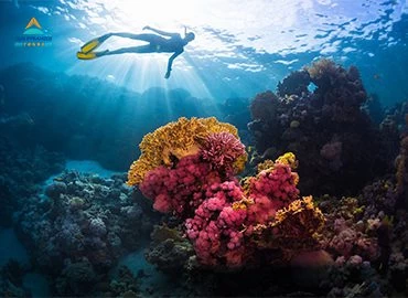 Sharm El Luli: Snorkeling Tour