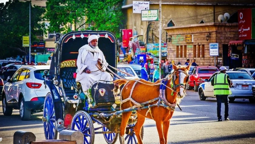 Luxor City Tour By Horse Carriage From West Bank - Image 3