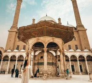 National Museum, Egyptian Museum, And Citadel Tour