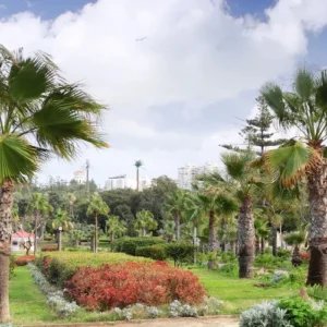 Explore Alexandria: A Day of Wonders