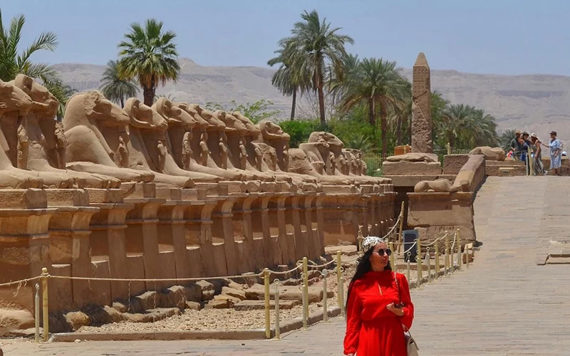 Package 15 Days 14 Nights Egyptian Adventure Tour - Image 9