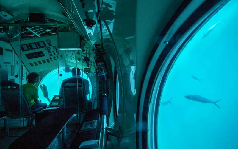 Sharm el Sheikh Port : Ras Mohammed snorkeling Trip - Image 4