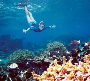 White Island & Ras Mohamed National Park Snorkeling Boat Trip