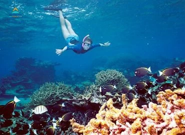 White Island & Ras Mohamed National Park Snorkeling Boat Trip