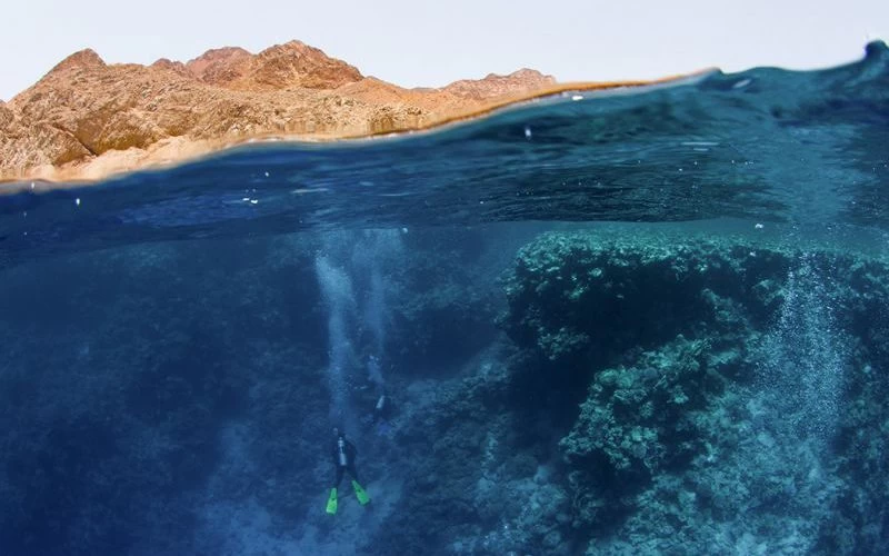 White Island & Ras Mohamed National Park Snorkeling Boat Trip - Image 4