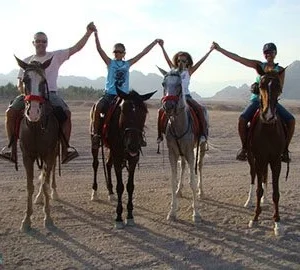 Desert Horse Riding In Sharm El Sheikh