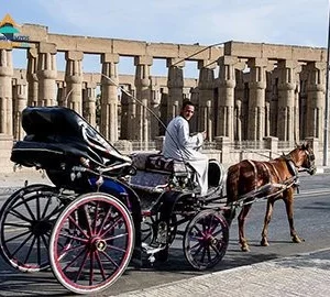 Luxor City Tour By Horse Carriage