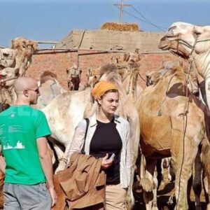 Camel Market Day Tour - Authentic Cairo Experience