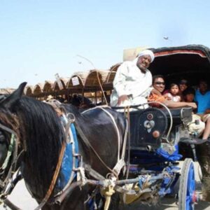 Aswan Evening City Tour by Horse Carriage