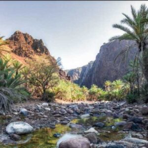Wadi Qunai & Three Pools Safari from Sharm El Sheikh