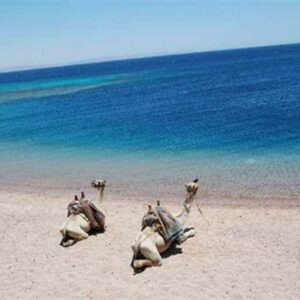 Blue Lagoon & Ras Abu Galum Day Tour from Dahab