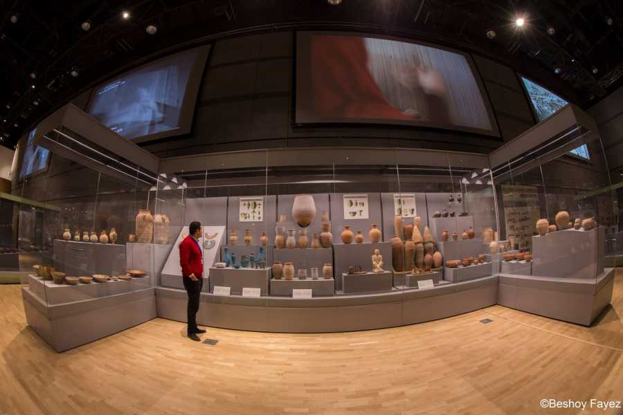 Royal Mummies Tour: NMEC, Citadel & Khan El Khalili