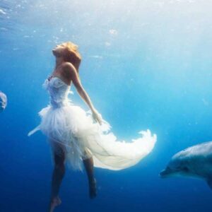 Swim with Dolphins & Snorkeling from Marsa Alam