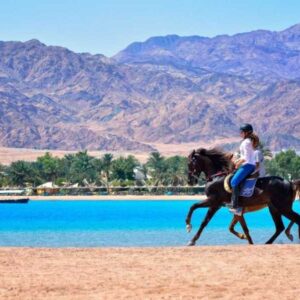 Desert Horse Safari at Lagoon Beach Dahab