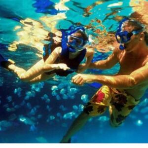 White Island & Ras Mohammed Day Trip from Sharm El Sheikh